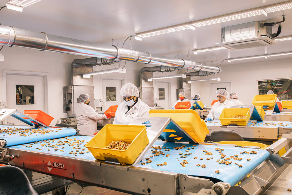 Empire Nuts workers sorting walnuts