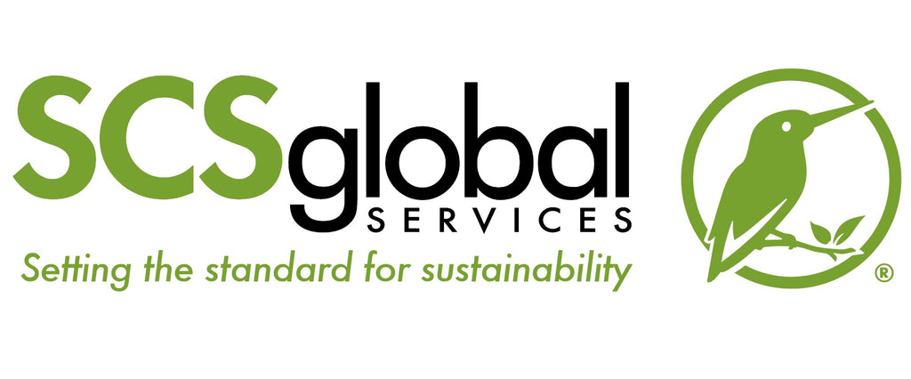 scs global logo