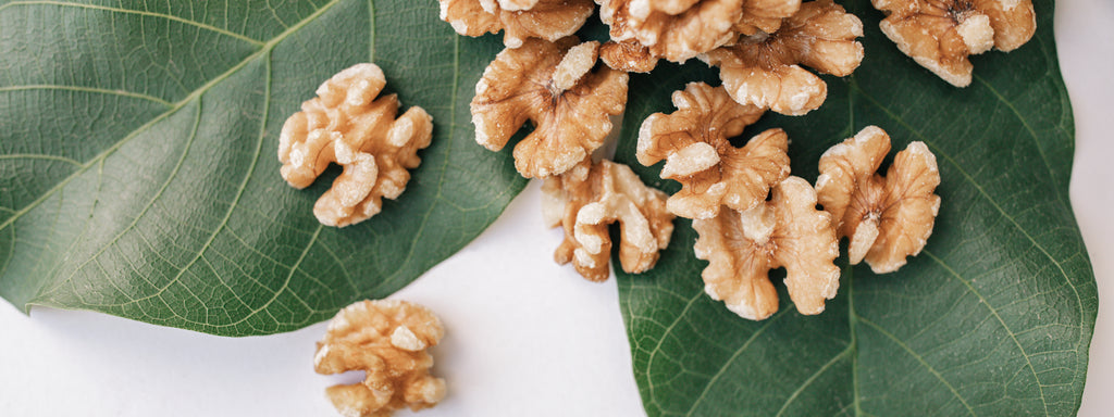 close up of dry walnuts 
